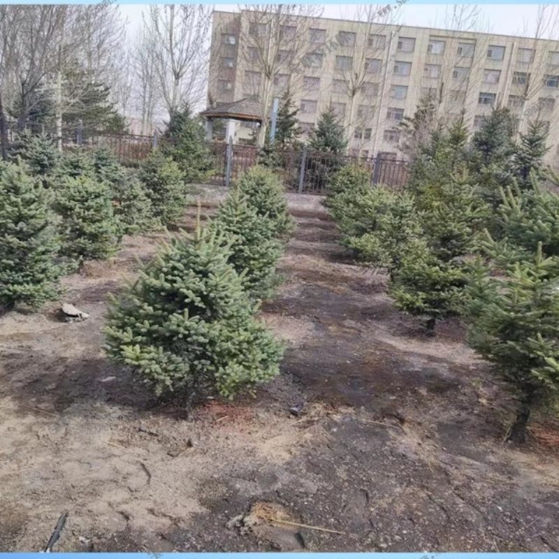 山西永昌环宇煤炭运销有限公司生活污水处理站新建项目