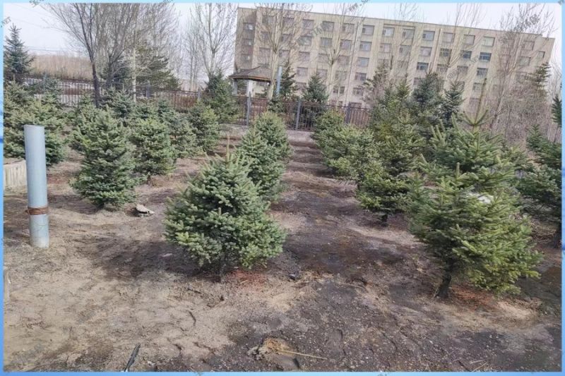 山西永昌环宇煤炭运销有限公司生活污水处理站新建项目